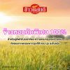 รูปภาพของ ข้าวแสนดี ข้าวหอมทิพย์ 30%:70% 5 กก.