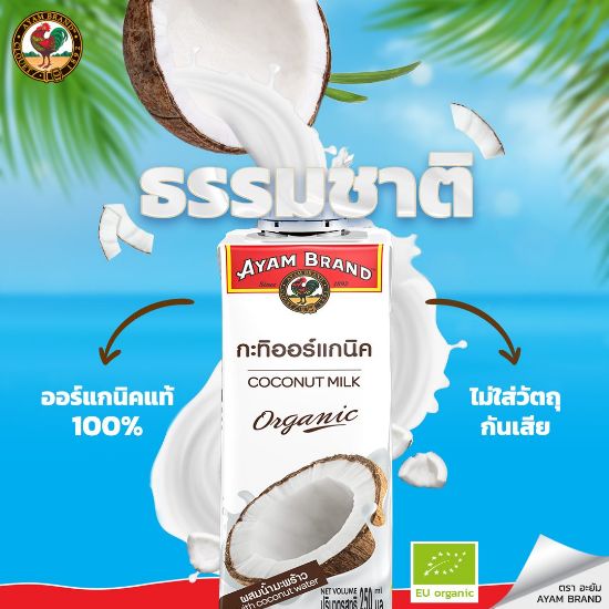 รูปภาพของ อะยัม กะทิออร์แกนิค 250 มล.