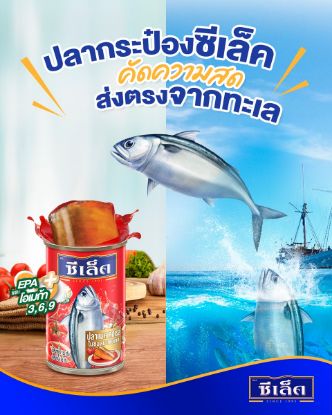 รูปภาพของ ซีเล็คแมคเคอเรลซอสมะเขือเทศฝาดึง 155 กรัม แพ็ค 10