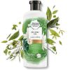 รูปภาพของ HERBAL SHAMPOO & CONDITIONER 400 ML.