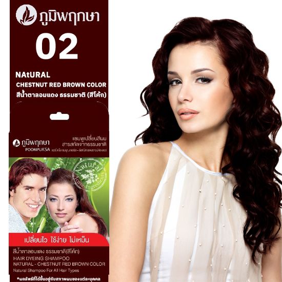 รูปภาพของ ภูมิพฤกษา แชมพูเปลียนสีผมสมุนไพร สีโค้ก 30 G.