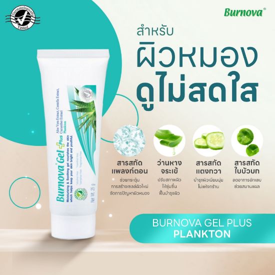 รูปภาพของ เบอร์นโนว่า เจล พลัส แพลงก์ตอน 25 กรัม