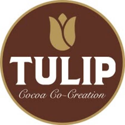 รูปภาพสำหรับผู้ผลิตนี้ TULIP GOLD